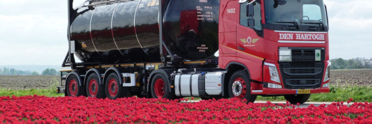 Boosting Adoption of Sustainable Transport Solutions