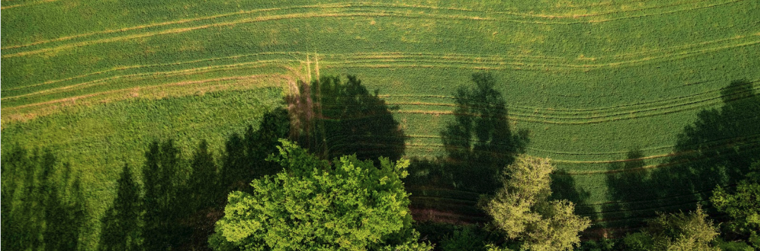 Provincie Gelderland SDG-Challenge