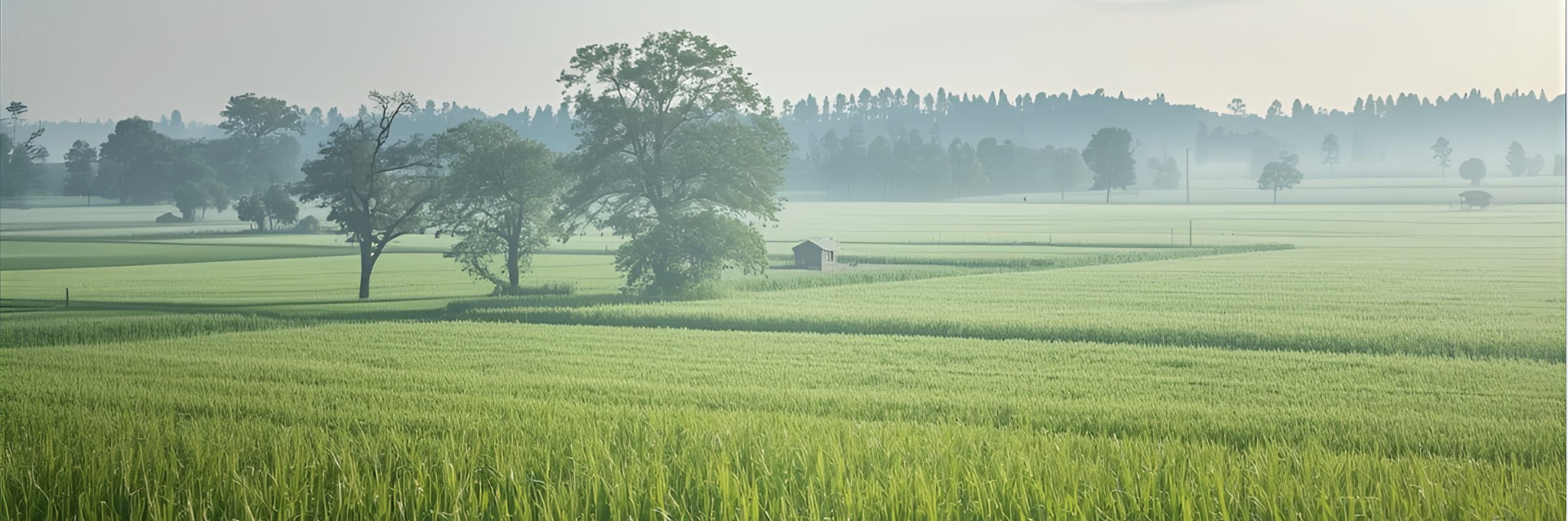 Cefetra SDG-Challenge 2025 - 2026