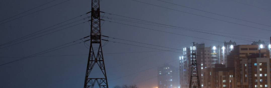 Smart people, smart grid