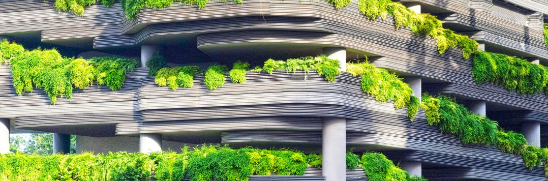 Sustainability in Thomas Regout