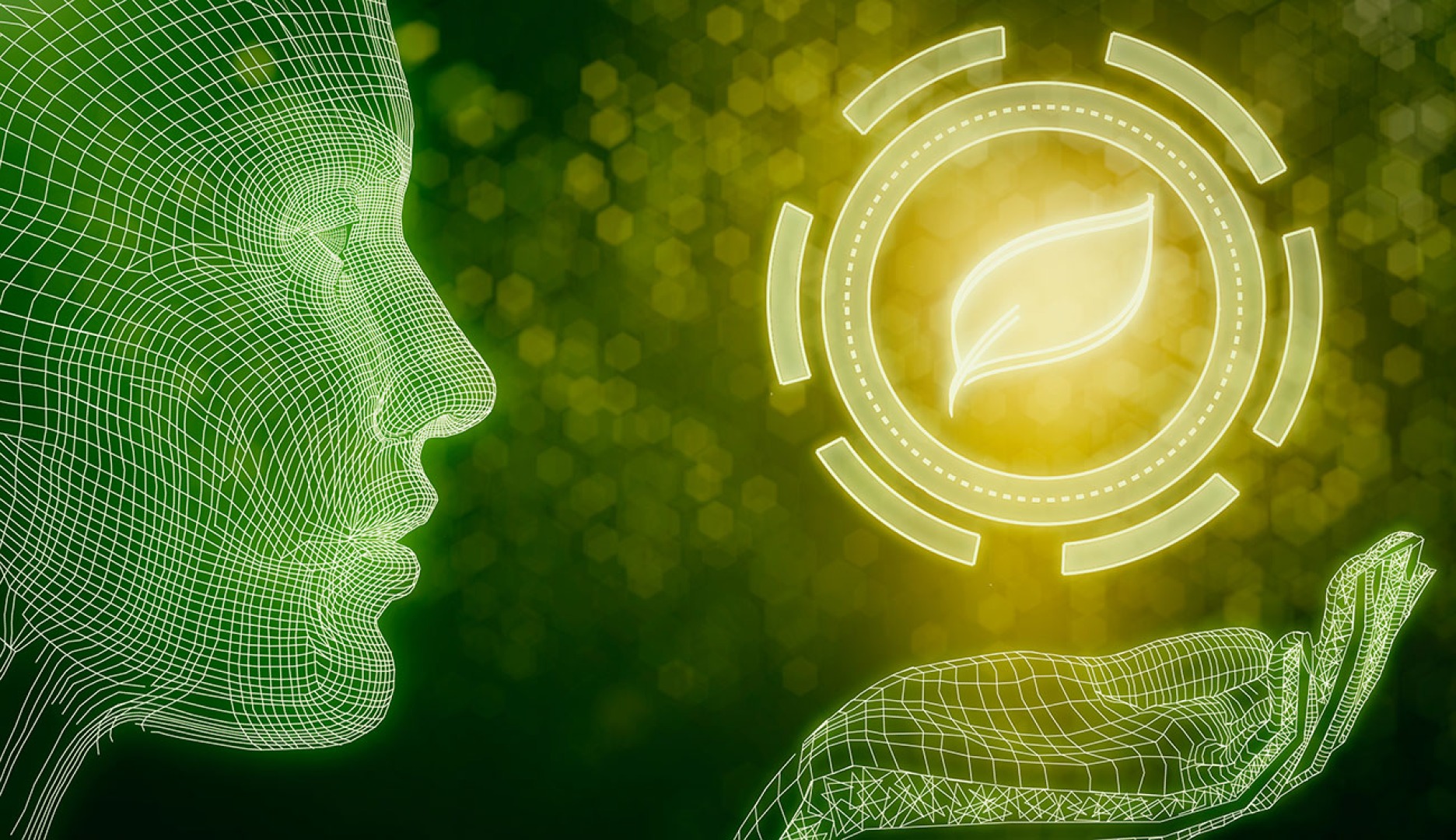 The use of AI for emission reduction claims.