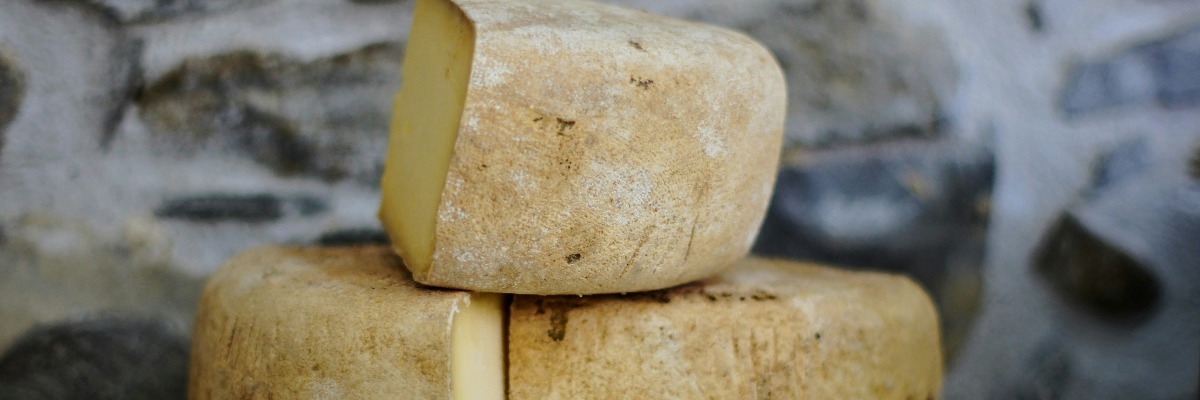 Positive Health Effects of Cheese