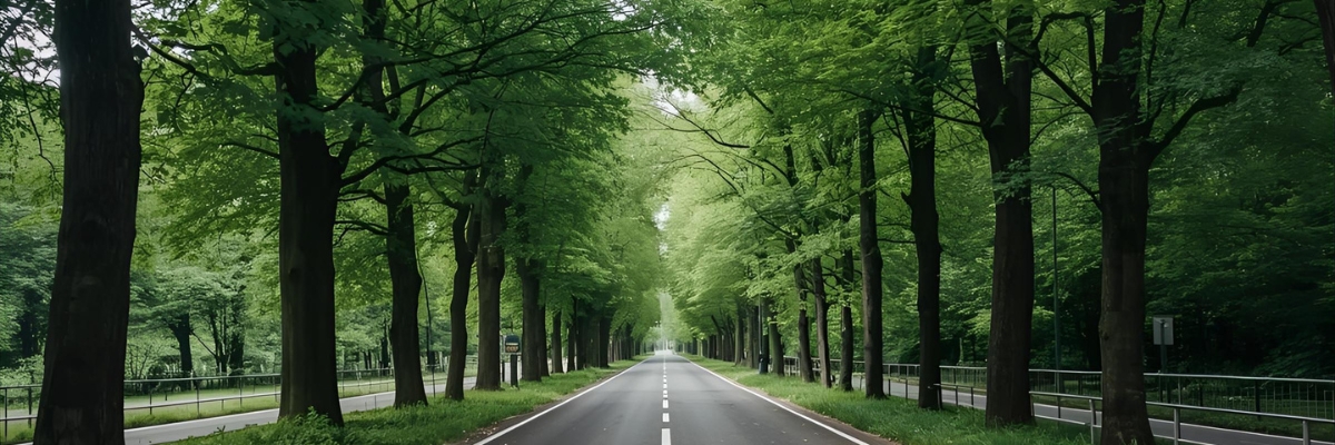 Innovation just with cooperation