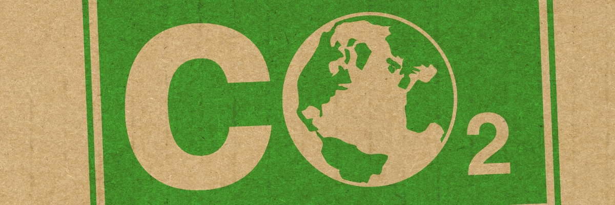 The use of AI for emission reduction claims.