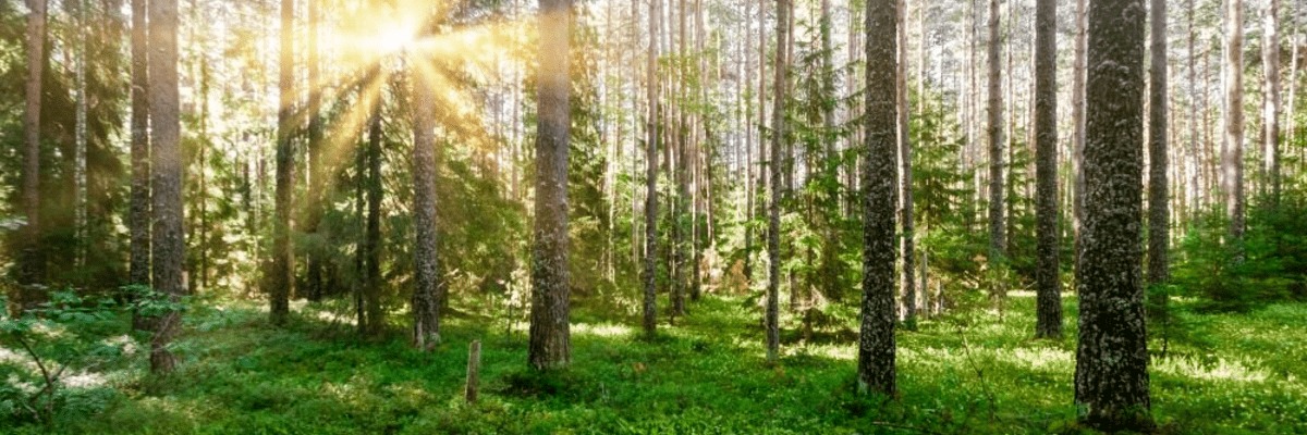 Scaling Nature-Based Solutions: From Pilots to Full-Scale Impact (SOL/People-Planet-Food Hackathon)