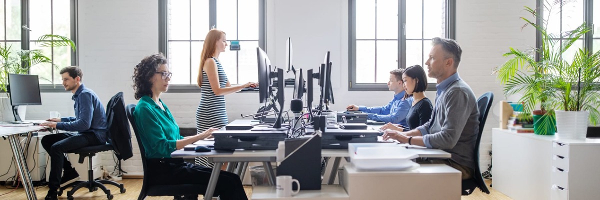 Sustainable employment through inclusion (SOL/People-Planet-Food Hackathon)