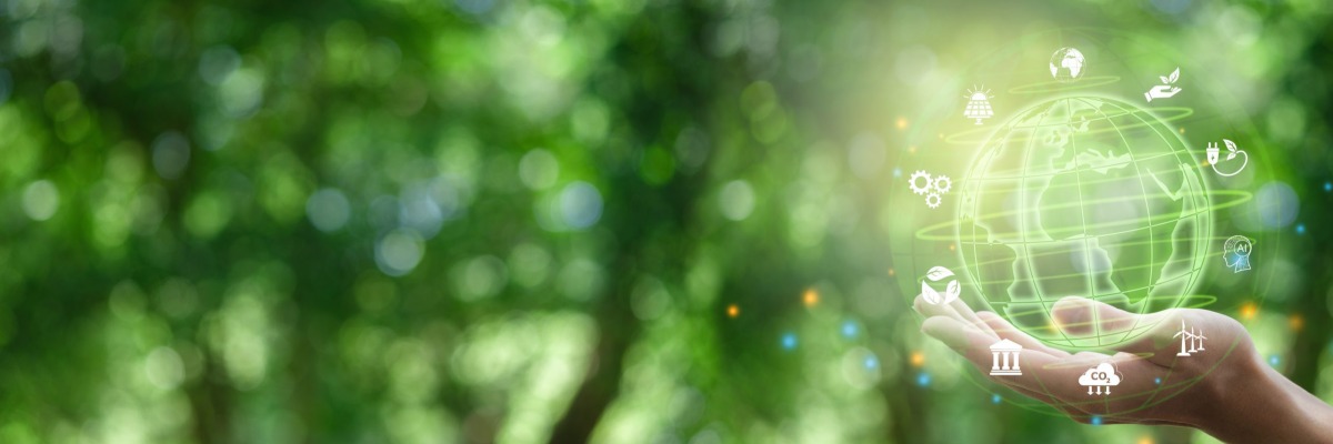 Help BNG Emissies te Compenseren