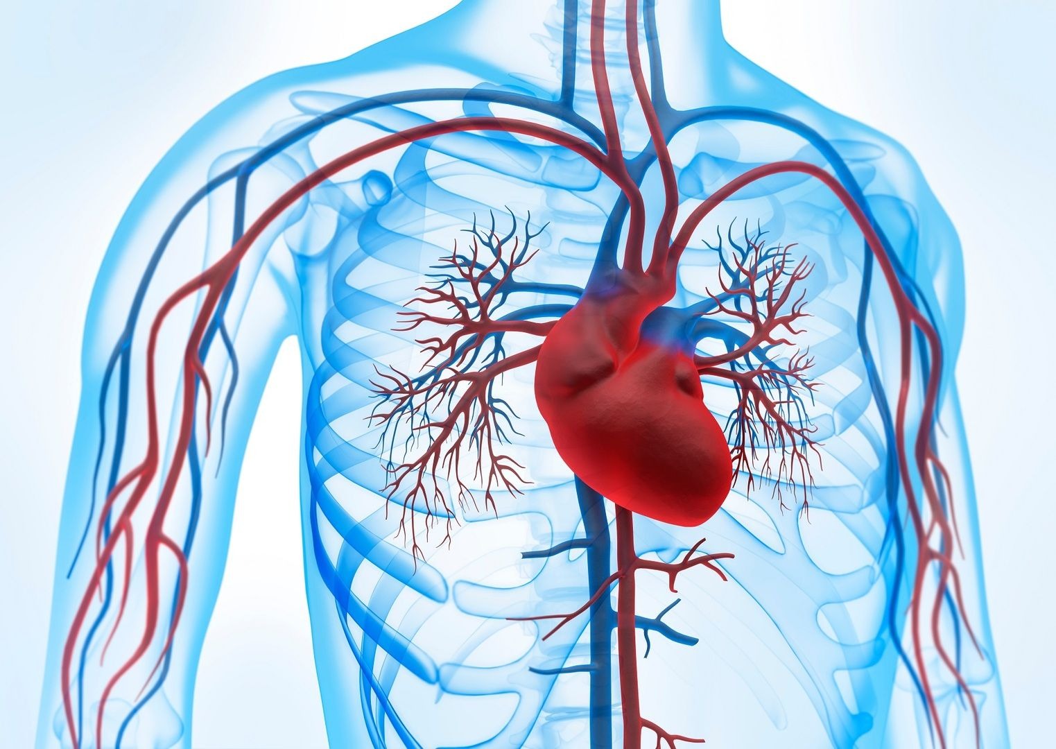 Biomarkers for cardiovascular disease