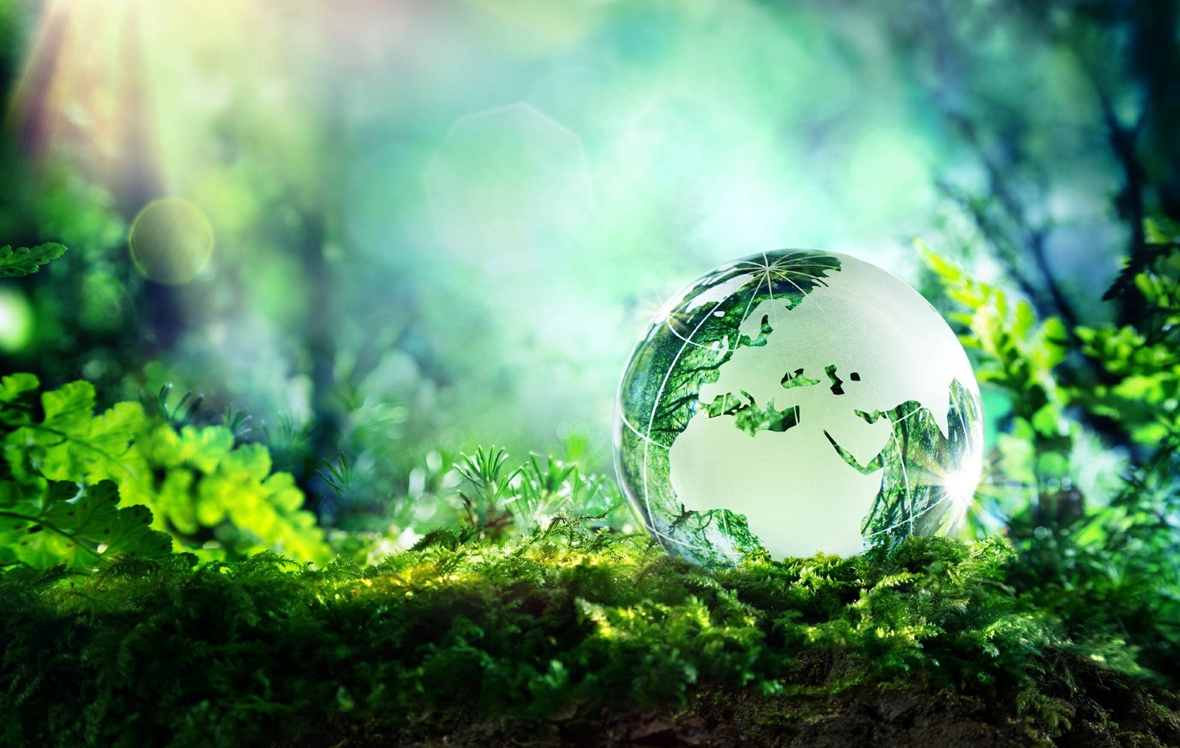 Sustainable packaging for women's pharmaceuticals