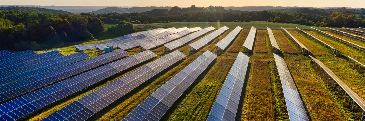 The benefits of agrivoltaics