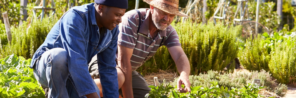 Help our partners in their journey towards a more sustainable future!